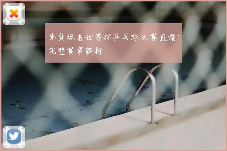 免费观看世界杯乒乓球决赛直播:完整赛事解析