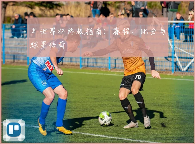 年世界杯终极指南:赛程、比分与球星传奇